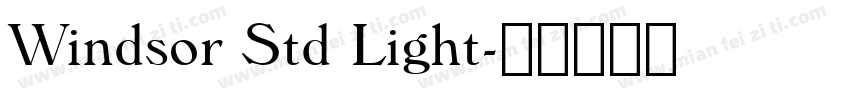 Windsor Std Light字体转换